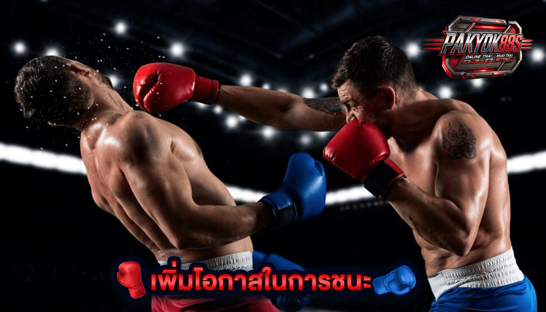 มวยพักยก