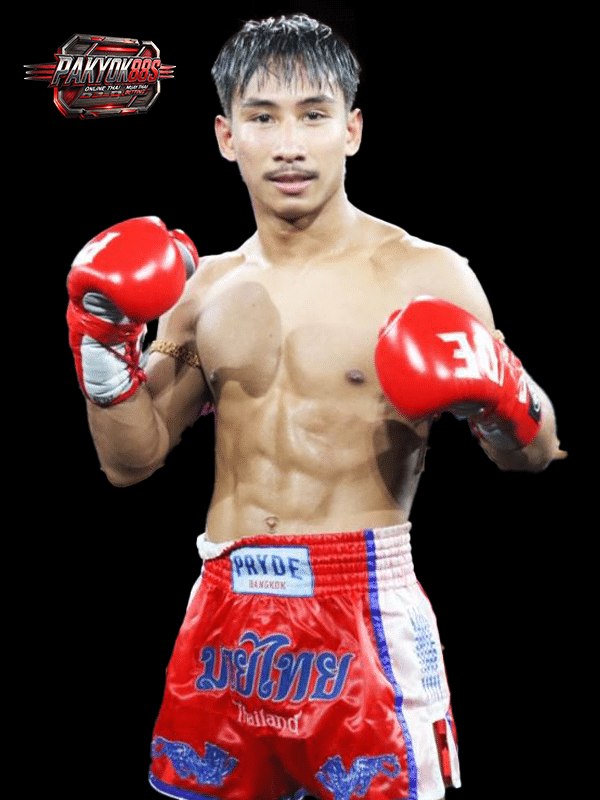 จิ๊กซอว์ แอ๊ดสันป่าตอง