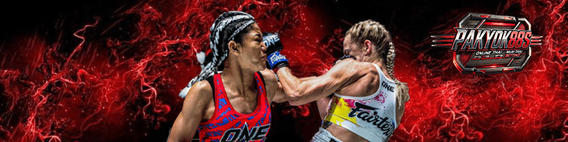 ดวงดาวน้อย