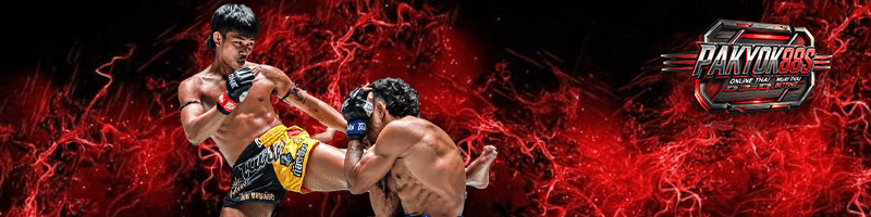 ก้องชัย ไฉนดอนเมือง